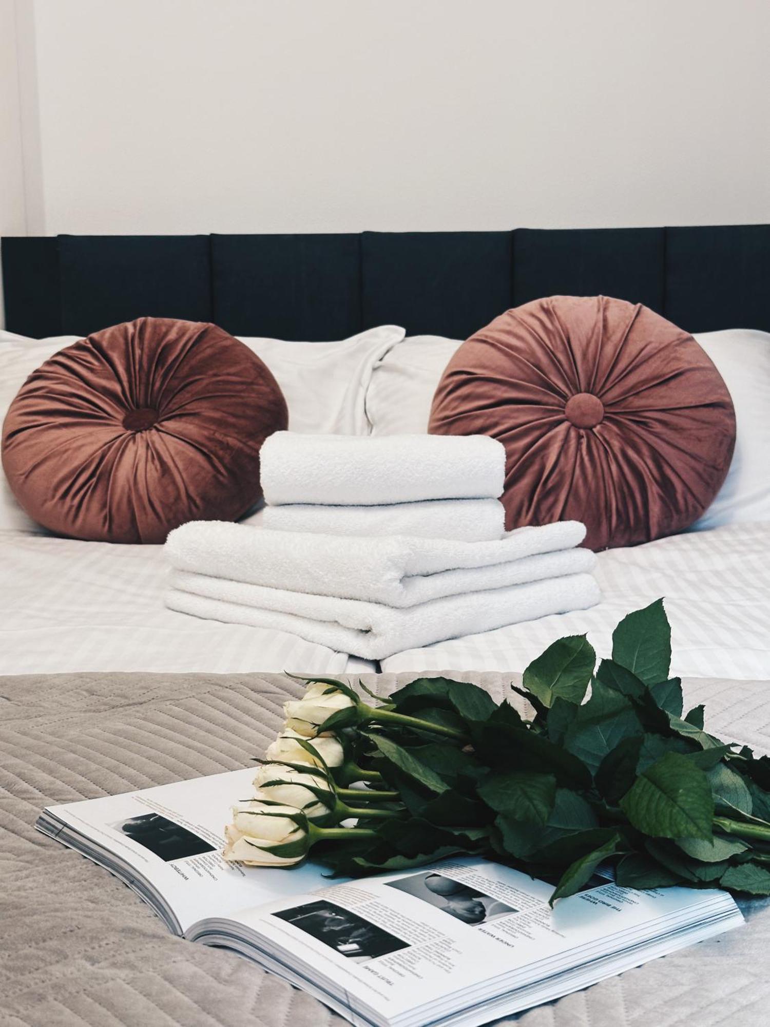 Soft Loft Apartamenty Stary Toruń Exteriér fotografie